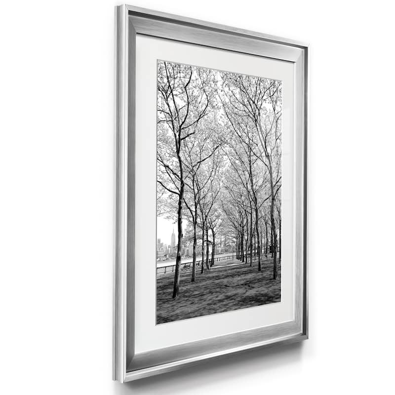 Pier a Park Premium Framed Print - Ready to Hang