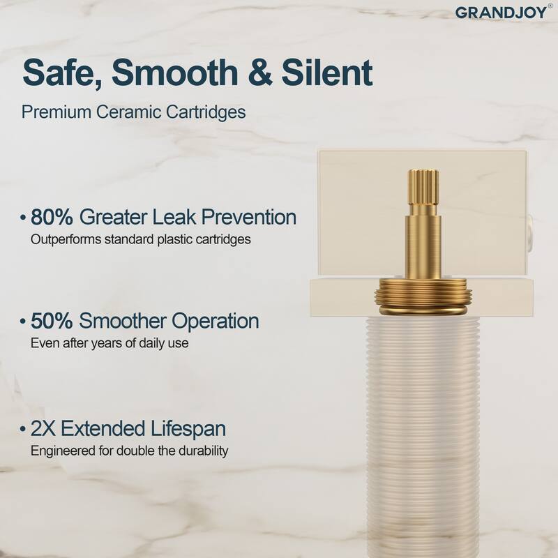GRANDJOY High Arc Double Handle Bathroom Sink Faucet with Drain