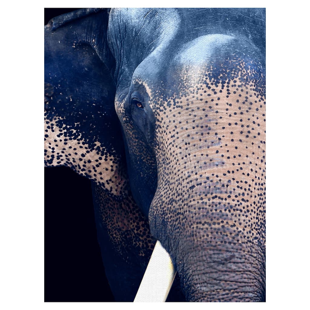 Titan by Belle Maison Canvas Art Print