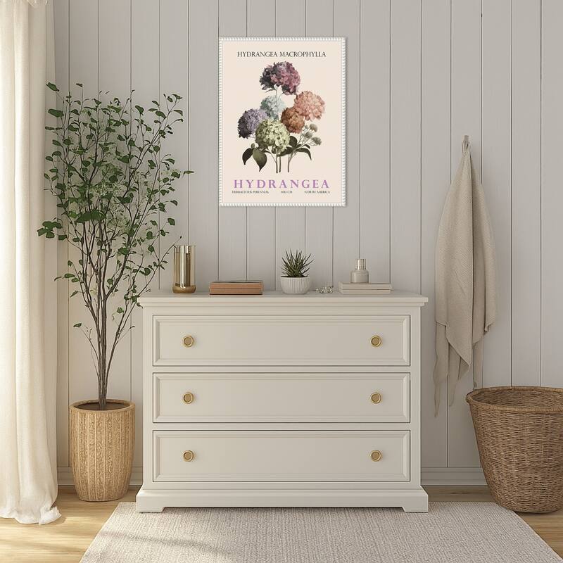 Vintage Botanical Hydrangea Illustration by Christopher Giampietro Framed Canvas Wall Art Print