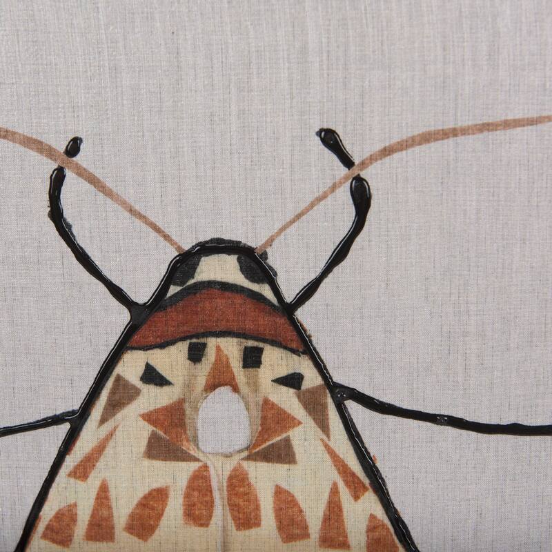 Moth I Framed Art Print