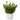 Enova Home 12 inches Artificial Mixed Greenery Foliage Fake Plants in White Ceramic Pot for Home Garden Decoration - N/A
