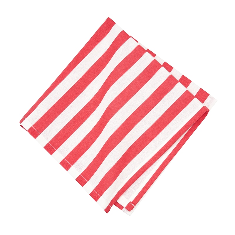 Watermelon Whimsy Cotton Napkin Machine Washable Set of 6