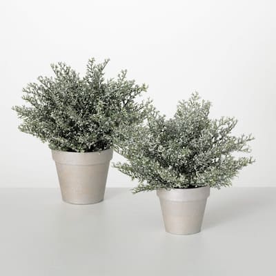 10.5"H & 12.5"H Sullivans Artificial Christmas Potted White Bubble Cedar Set of 2, Green