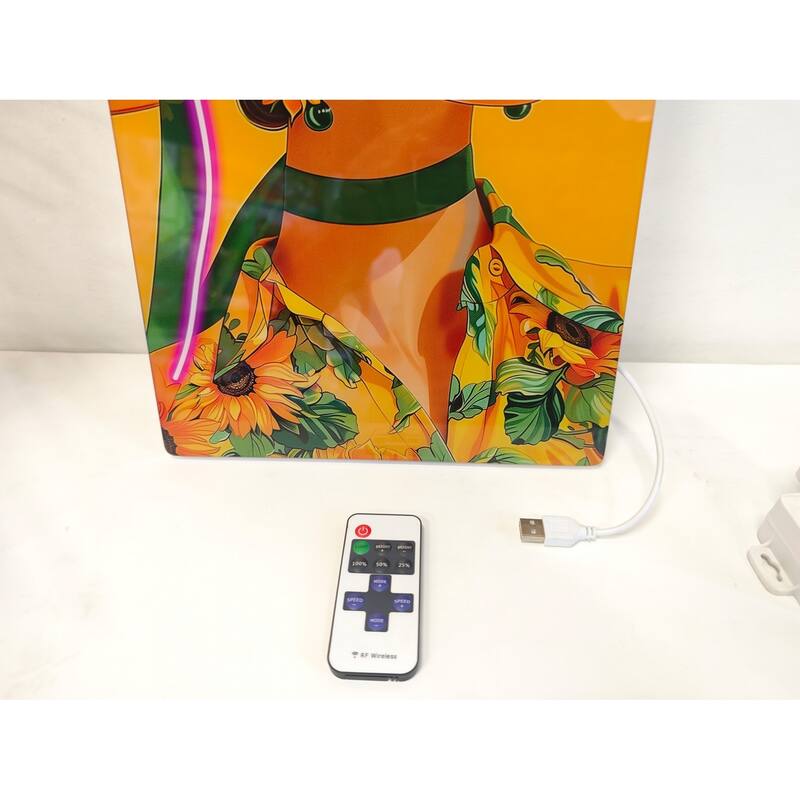 Fashion Girl LED Wall Art - Acrylic Lighted Artwork with Neon Effect, Stylish Illuminated Picture