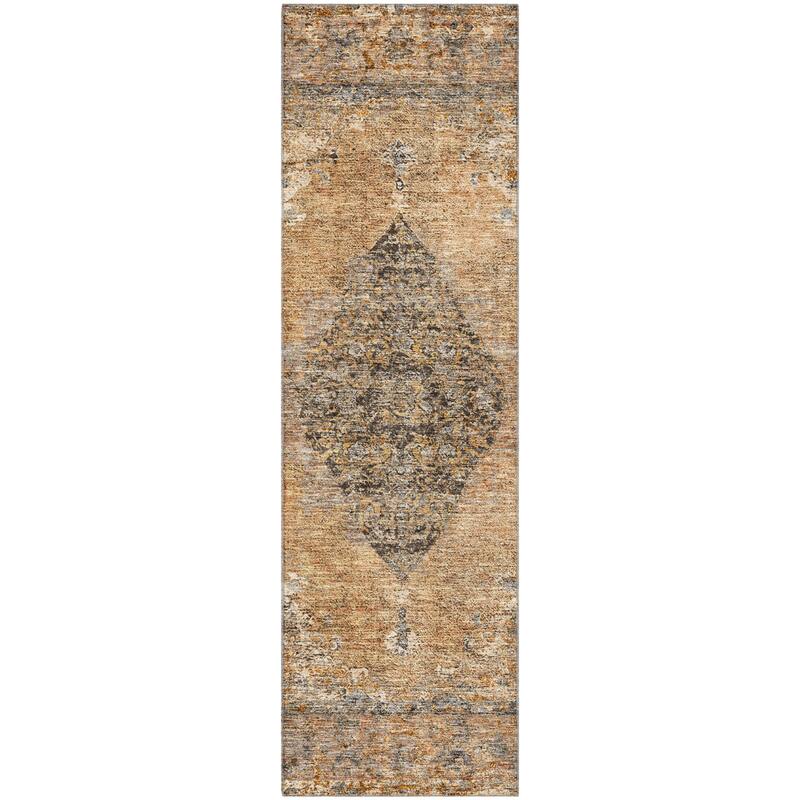 Premium Washable Super Soft Vintage Traditional Mayfield Rug