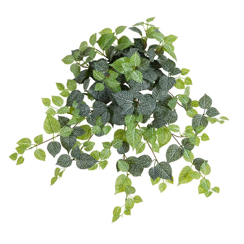 24-in UV Resistant Artificial Fittonia Hanging Plant - Set of 3