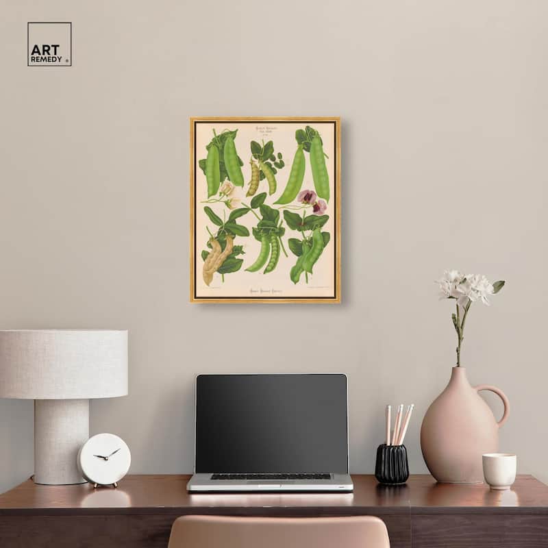 Podded Peas from Benary 1876 Canvas by Art Remedy