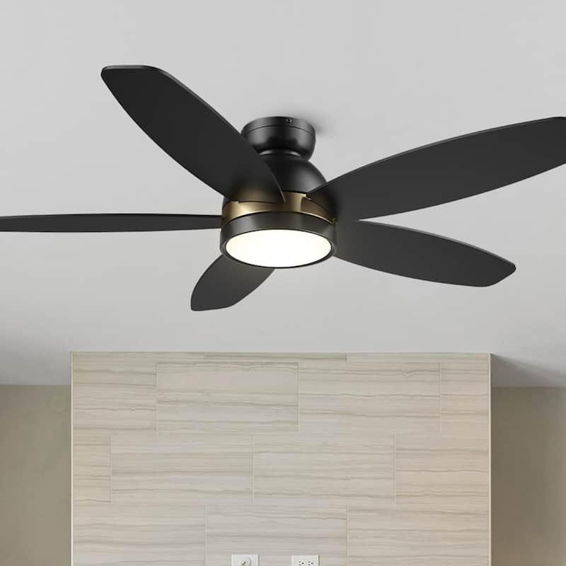 CARRO Cerus 48" 5-Blade Indoor Ceiling Fan with Light and Remote - Black/Gold