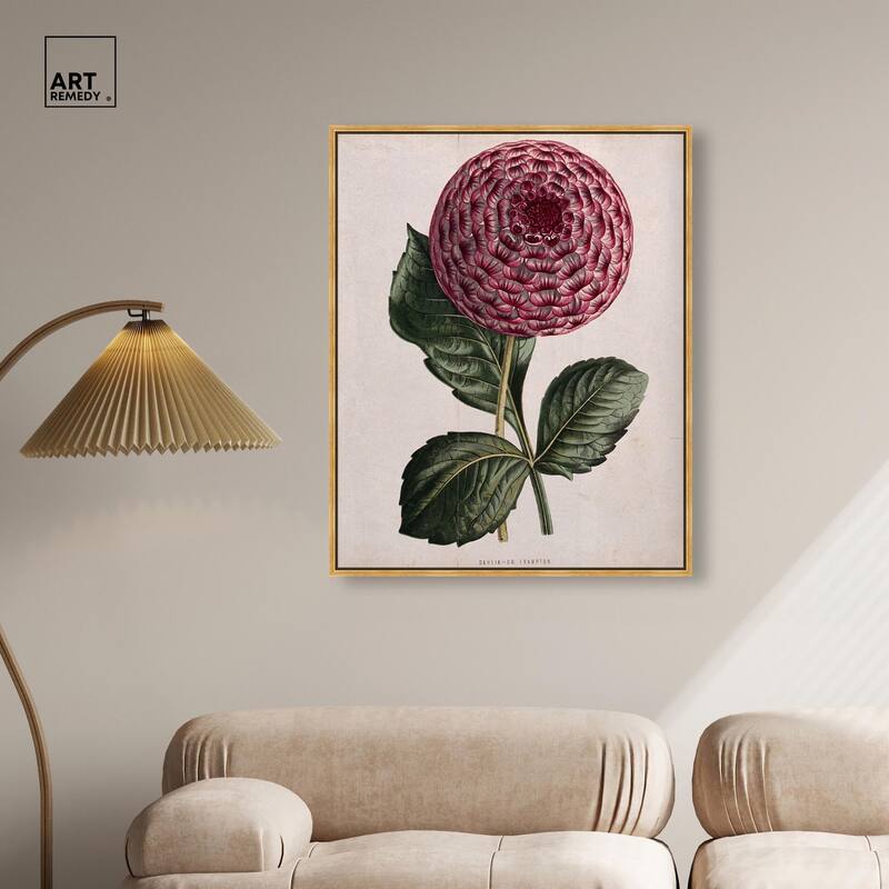 A dahlia Canvas by Art Remedy