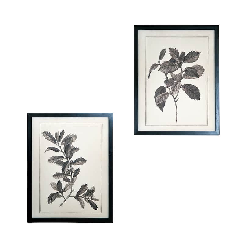 HomeRoots Set of Two Black And White Botanical Leaves Framed Art