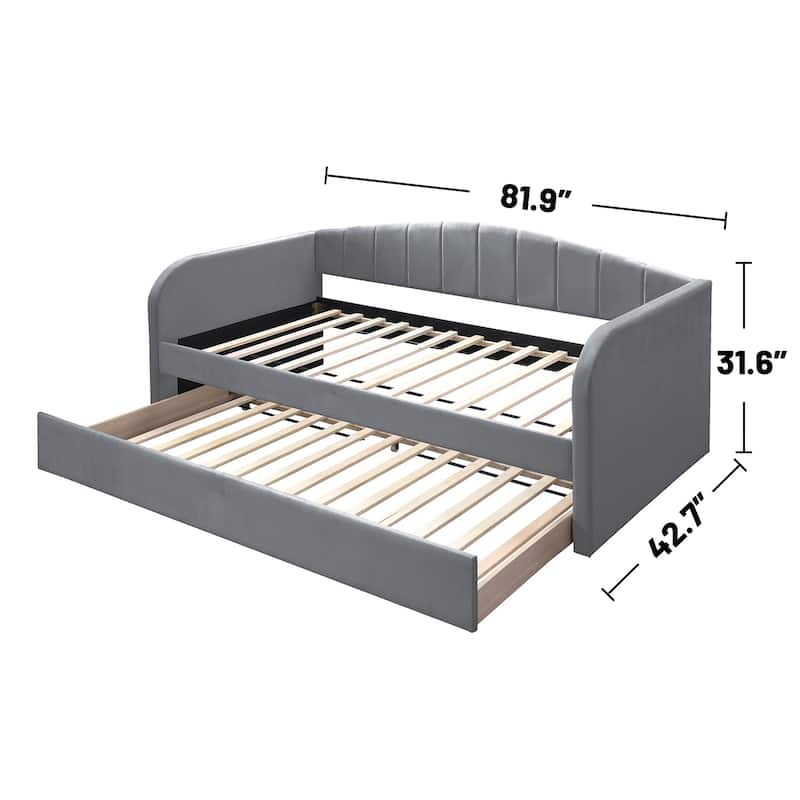 Velvet Upholstered Twin Size Daybed with Trundle