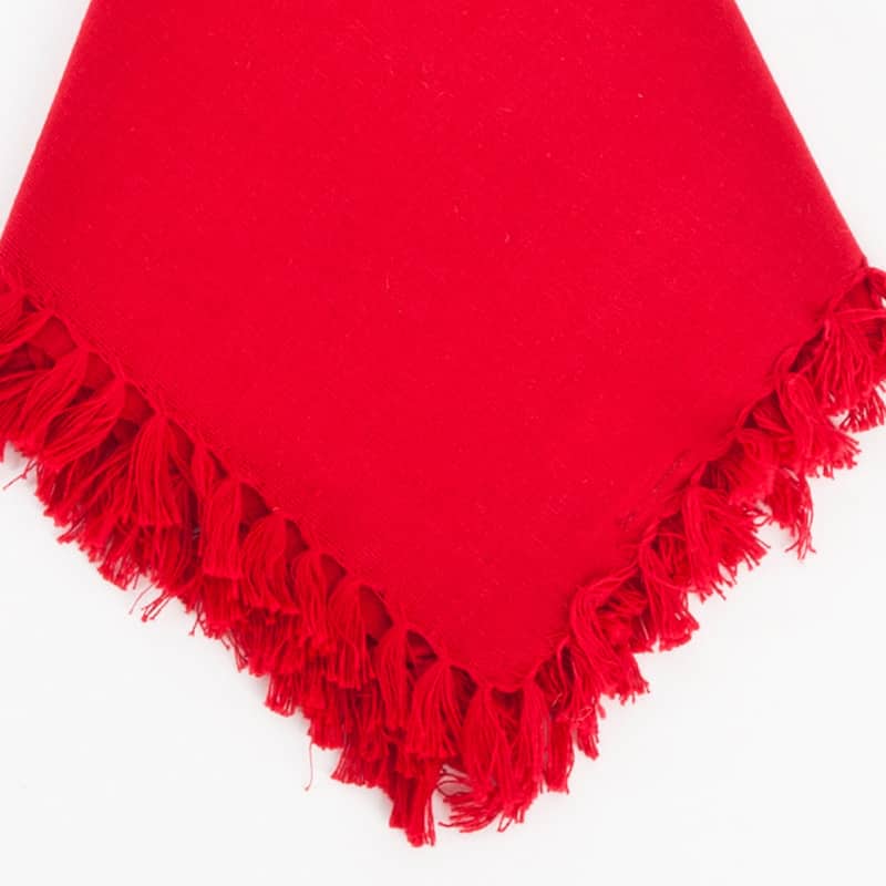 Fringed Design Napkins (set of 4)