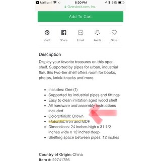 Danya B. Two-tier Industrial Pipe Wall Shelf