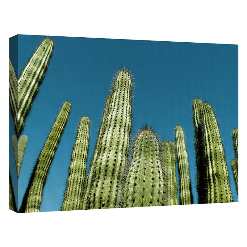Cactus with Blue Sky by Belle Maison Canvas Art Print