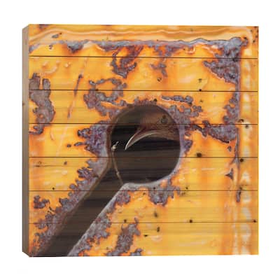 Beak-A-Boo Print On Wood by Camille Engel - Multi-Color