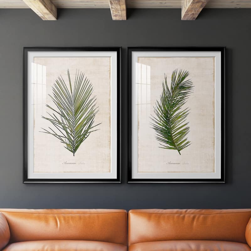 Palm Botanical I Premium Framed Print - Ready to Hang