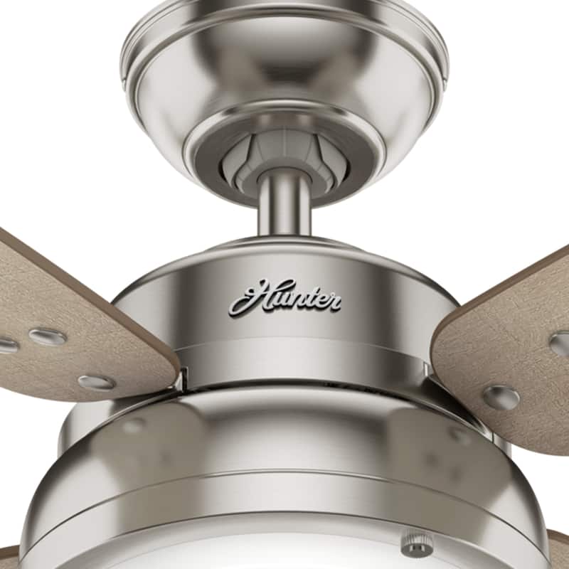 Hunter 52" Wingate Ceiling Fan with LED Light Kit and Handheld Remote - Transitional, Coastal