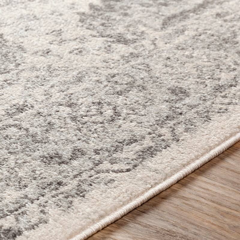 Artistic Weavers Bastiaan Transitional Area Rug