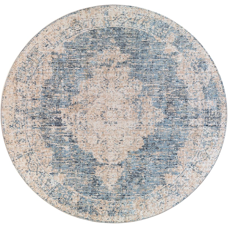 Artistic Weavers Morvarid Vintage Traditional Area Rug