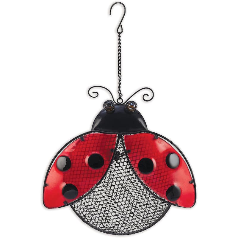 Ladybug Bird Feeder
