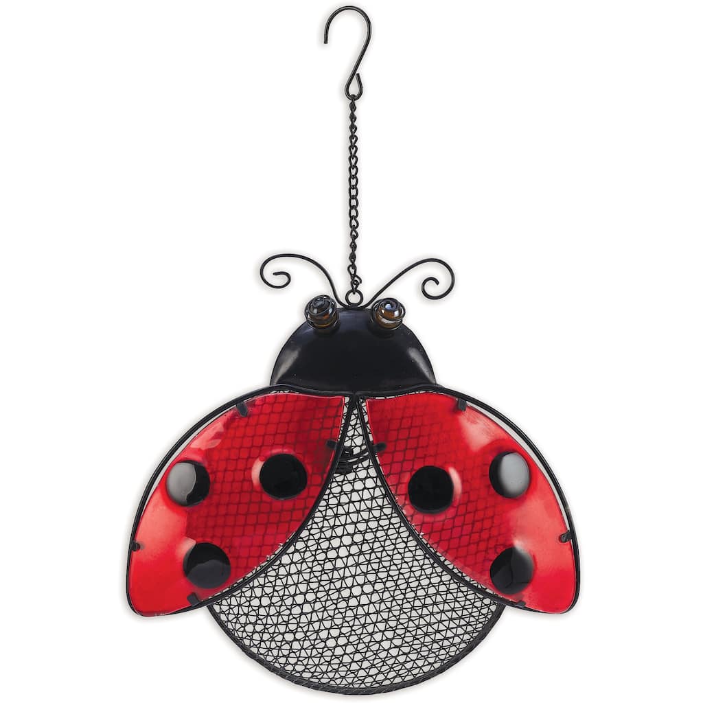 Ladybug Bird Feeder