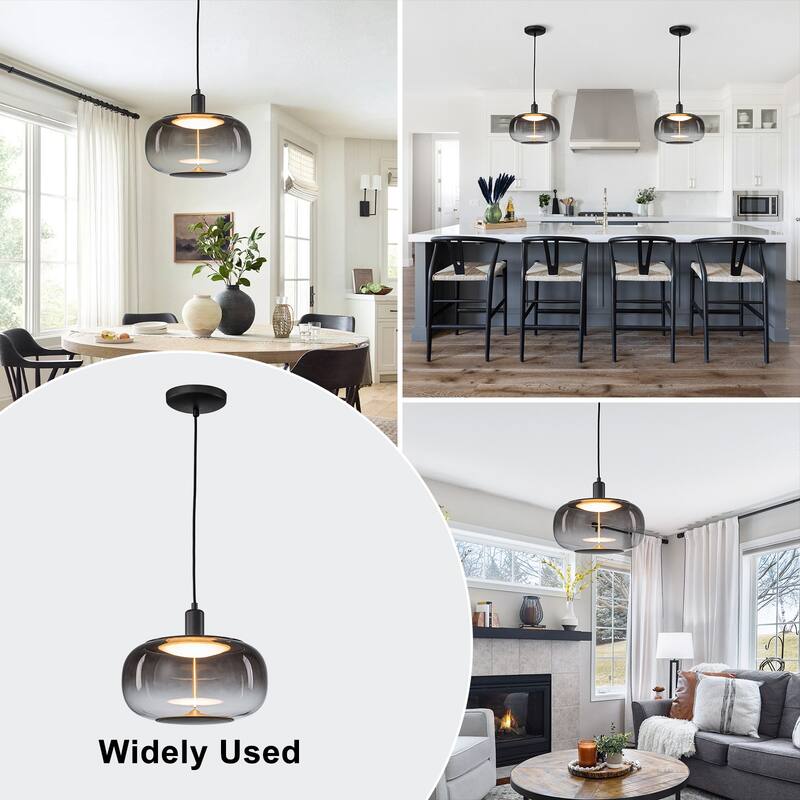 Smoke Gradient Clear Plastic LED Globe Pendant Light