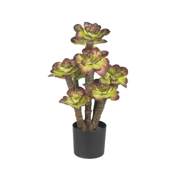 Nearly Natural Echeveria silk Plant Green