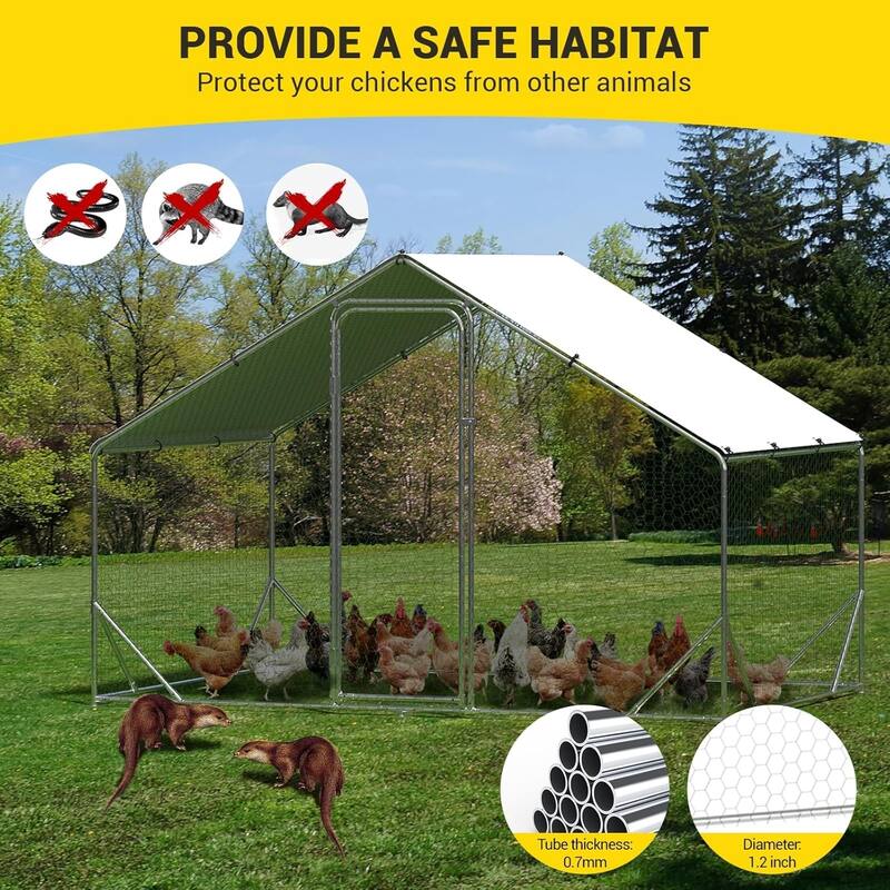 9.8 x 6.5 x 6.5FtGalvanized Steel Chicken PenWalk-in Poultry Cage