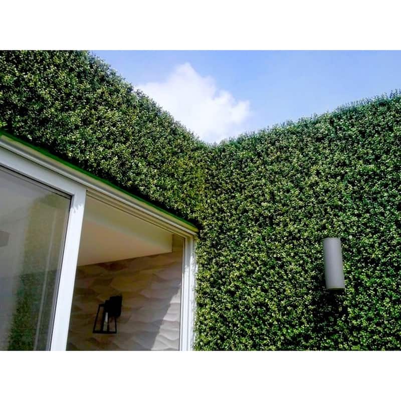 20"x20" Artificial Boxwood Hedge Greenery Panels - 24pc