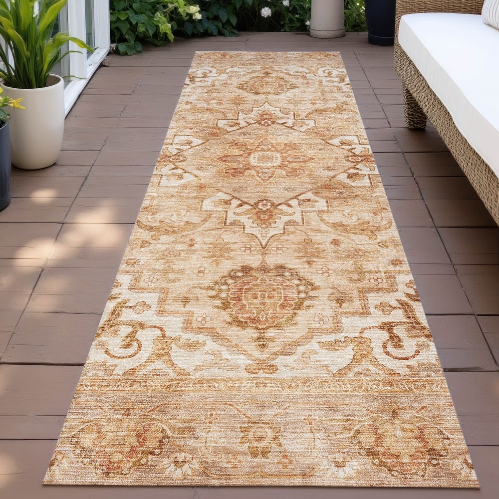 Machine Washable Indoor/Outdoor Traditional Vintage Chantille Rug