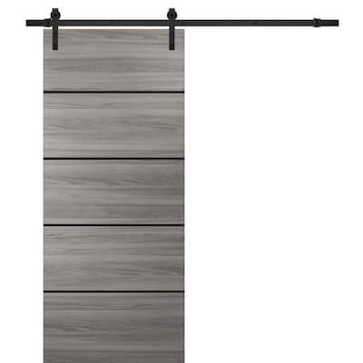 Sturdy Barn Door 36 x 80 Planum 0015 Ginger Ash with 6.6FT
