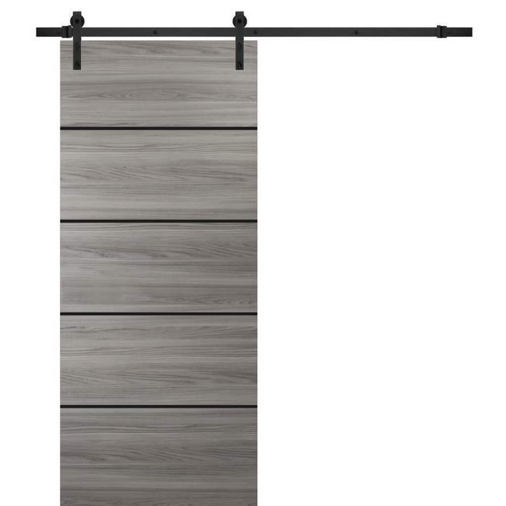 Sturdy Barn Door 36 x 80 Planum 0015 Ginger Ash with 6.6FT