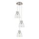 Option Seedy / Brushed Satin Nickel