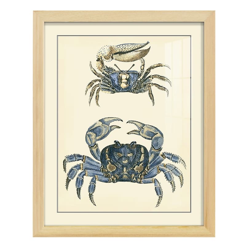 Antique Blue Crabs II -Framed Print w/glass-Cherry Red
