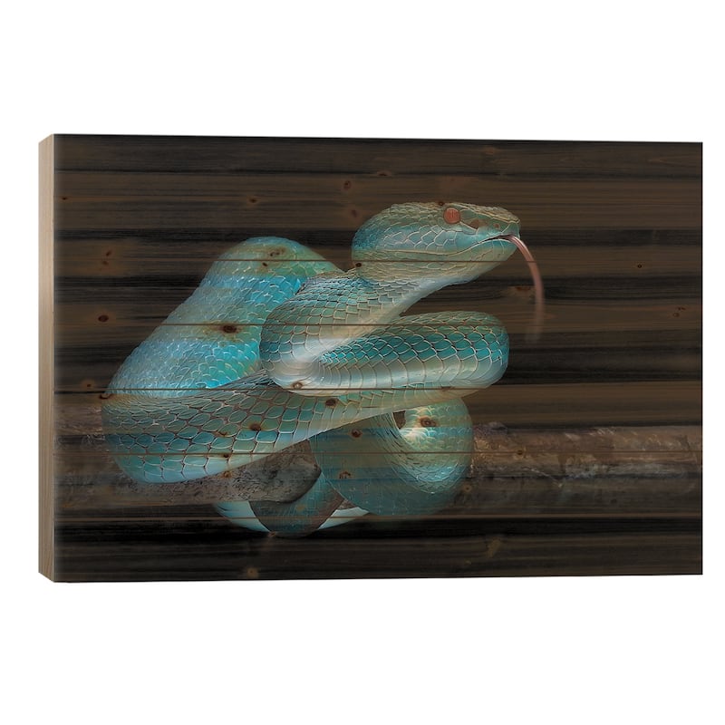 Blue Viper Print On Wood by Fauzan Maududdin - Multi-Color - 18x26x1.5