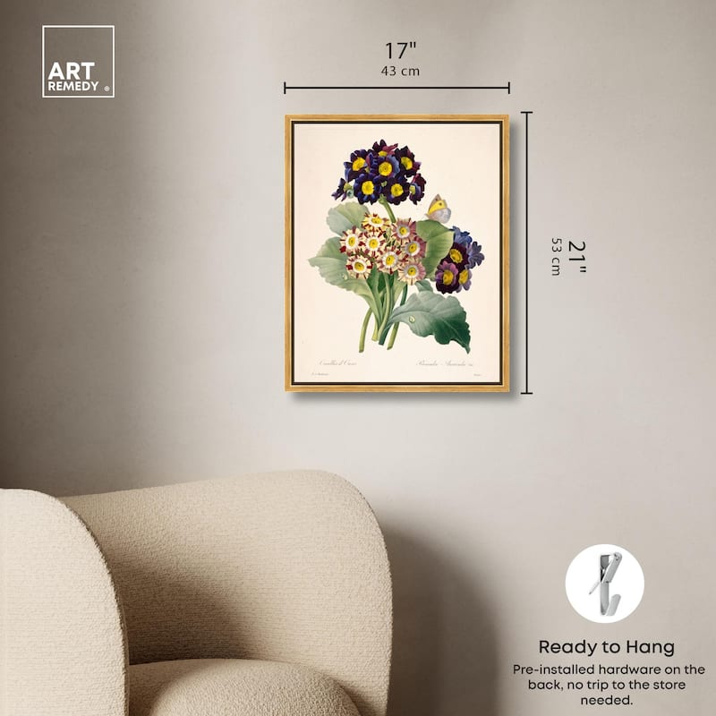 Auricula Varieties Canvas by Art Remedy