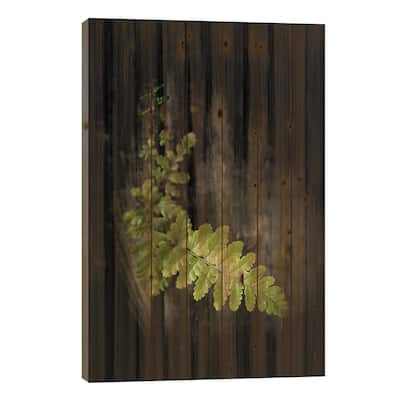 Green Power Print On Wood by Philippe Sainte-Laudy - Multi-Color