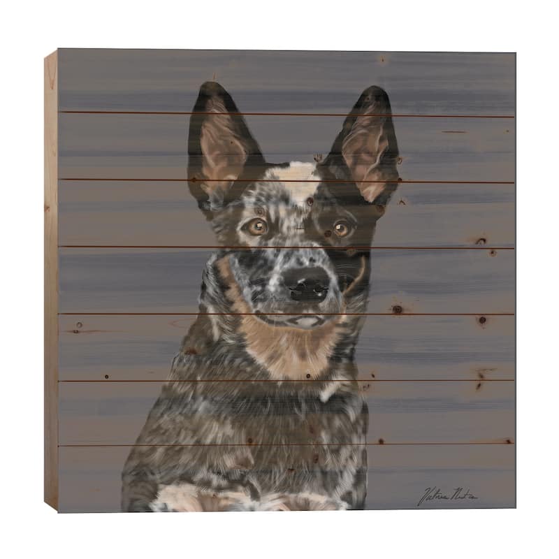 Australian Cattle Dog Print On Wood by Vicki Newton - Multi-Color - 26x26x1.5