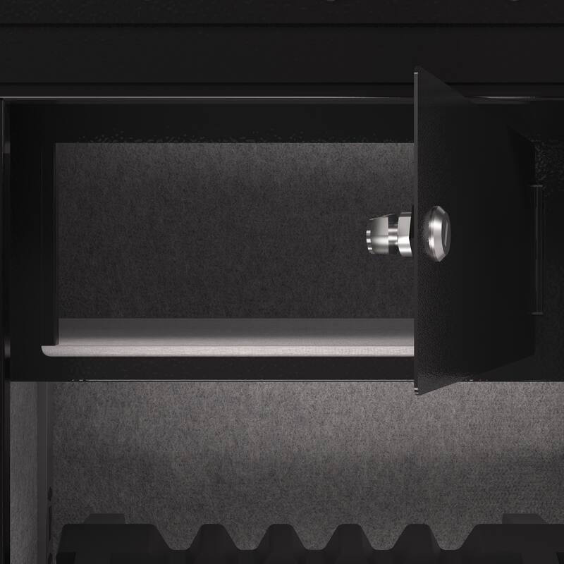 Roomfitters 28.3 Inch Biometric Security Safe with Fingerprint Lock and Hidden Compartment, Carbon Steel, Black