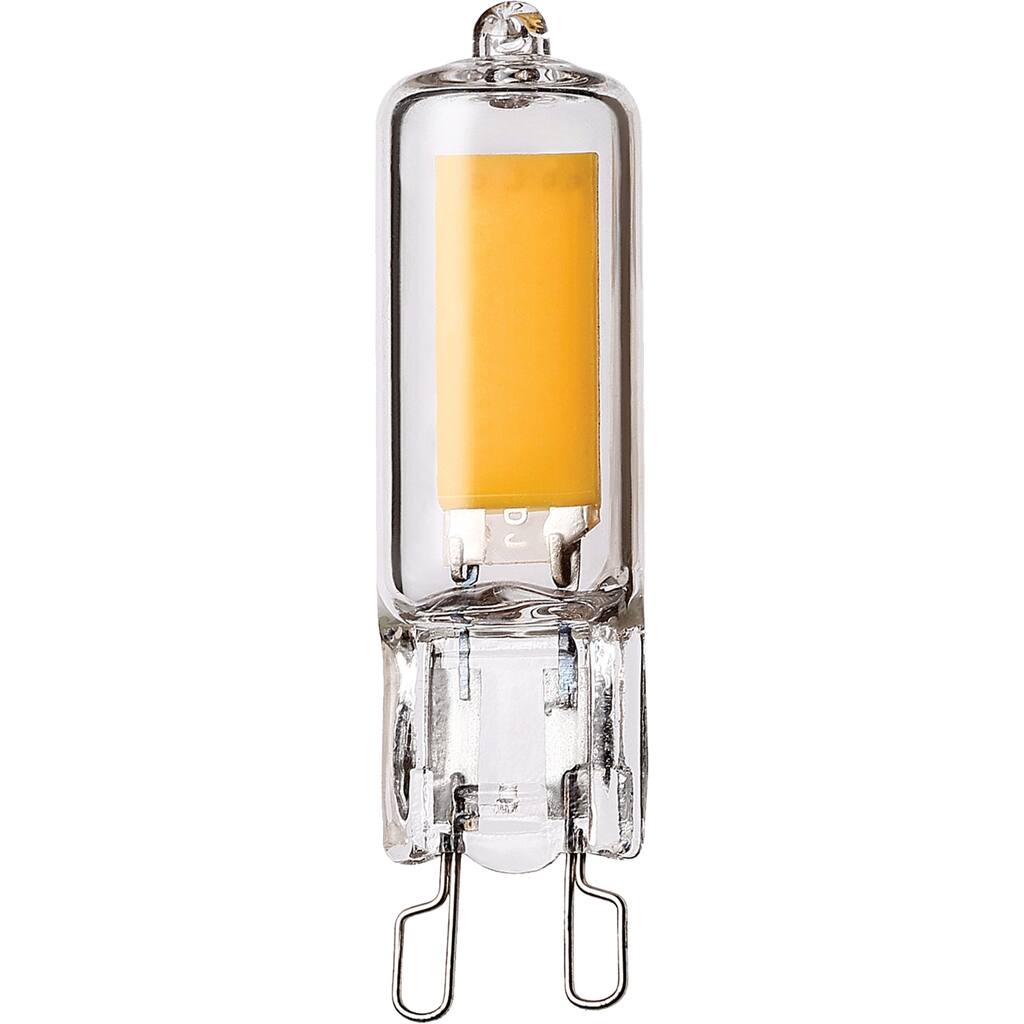Renwil June Lightbulb - Box of 3 - Clear
