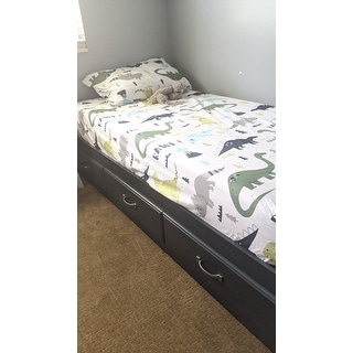 dinosaur twin bed frame