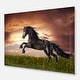 preview thumbnail 8 of 14, Designart 'Black Friesian Horse Gallop' Animal Photography Metal Wall Art