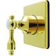 Option Polished Brass