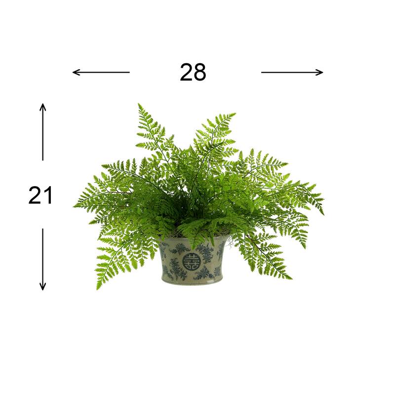 Fern Arrangement in a Decorative Ceramic Pot - Green