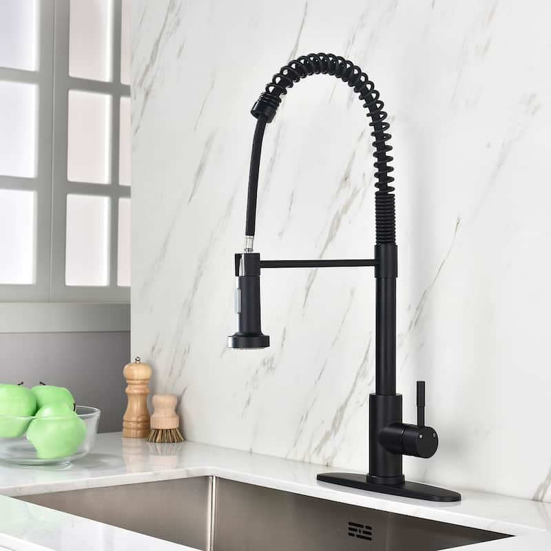 Single-Handle Pull-Down Sprayer Kitchen Faucet