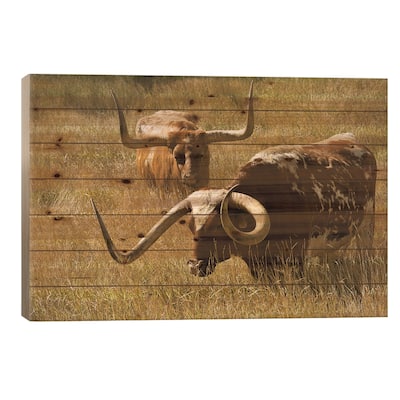 Texas Longhorn, Custer, South Dakota, Usa Print On Wood by Michel Hersen - Multi-Color