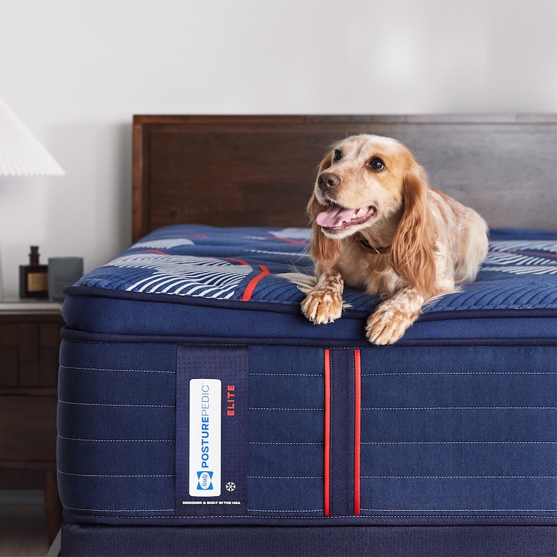 Sealy Posturepedic® Elite Brenham II 16" Soft Pillowtop Innerspring Mattress