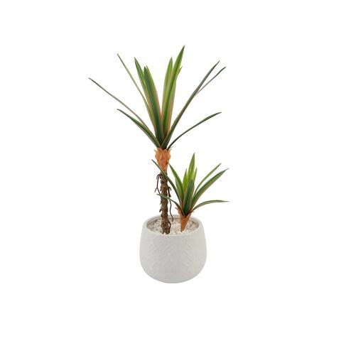 Real-Touch Yucca Plant Ceramic