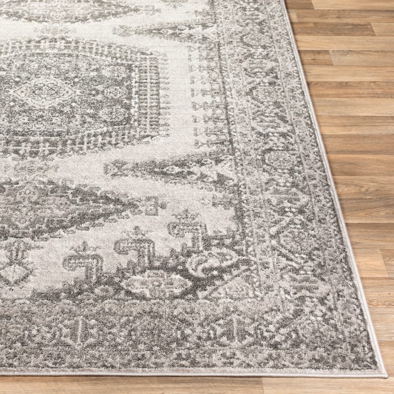 Artistic Weavers Fabrice Vintage Persian Medallion Area Rug